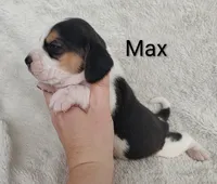 processed/cacec7ae-616a-4375-af71-413022c24a8d/listing/cee5d9ac-2c0b-4672-8840-22a660a176d1/0c399f2f-7c52-4059-9cc3-a71c32335bbb