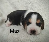 processed/cacec7ae-616a-4375-af71-413022c24a8d/listing/cee5d9ac-2c0b-4672-8840-22a660a176d1/4c6eaf0d-eec1-4ef0-97b8-f98b951ebd51