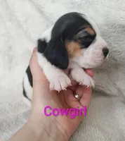 processed/cacec7ae-616a-4375-af71-413022c24a8d/listing/da01f0c5-74d1-45a6-b8fc-f732d8586fe1/27399fa5-8518-49ef-ac09-e627464b0aed