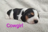 processed/cacec7ae-616a-4375-af71-413022c24a8d/listing/da01f0c5-74d1-45a6-b8fc-f732d8586fe1/77a86baa-c775-4511-ba0f-92f051d08d43