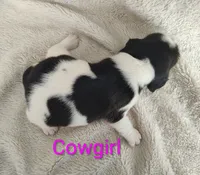 processed/cacec7ae-616a-4375-af71-413022c24a8d/listing/da01f0c5-74d1-45a6-b8fc-f732d8586fe1/f359e223-9728-4984-8ee7-5b3e8eb32d7c