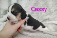 processed/cacec7ae-616a-4375-af71-413022c24a8d/listing/e529206b-8256-427c-8a01-00c8faa13fa8/ea2f04c7-b6ac-4326-836c-8ce5a8f09198