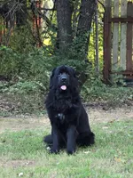 processed/cad07c22-a2c3-42d4-9d65-61e30faf9f85/facility/f60822f8-7061-4c91-ae11-1948e524b46b