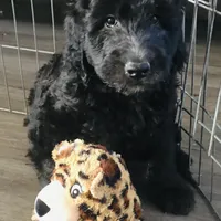 processed/cad1e702-e194-4714-82ae-0d546e8dd21e/facility/0b76efea-2e9d-4ba9-860b-a4d093ad70bd