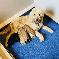 processed/cad1e702-e194-4714-82ae-0d546e8dd21e/facility/3fd8f179-5f81-45aa-ab5c-ff54d4483550