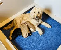 processed/cad1e702-e194-4714-82ae-0d546e8dd21e/facility/3fd8f179-5f81-45aa-ab5c-ff54d4483550