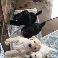 processed/cad1e702-e194-4714-82ae-0d546e8dd21e/facility/61a19993-caed-4f70-9e4d-cbb6f3b27250