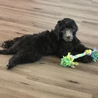 processed/cad1e702-e194-4714-82ae-0d546e8dd21e/facility/6a6dc02a-3849-47b6-94e1-843a79af0d28