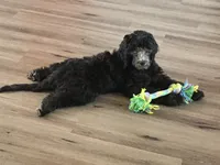 processed/cad1e702-e194-4714-82ae-0d546e8dd21e/facility/6a6dc02a-3849-47b6-94e1-843a79af0d28