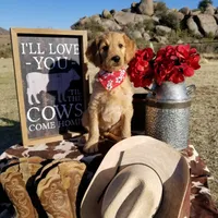 processed/cad1e702-e194-4714-82ae-0d546e8dd21e/facility/7acdcae0-110d-4fdd-805c-9008a629f382