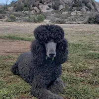 processed/cad1e702-e194-4714-82ae-0d546e8dd21e/facility/91924eb4-1d1d-46ab-b227-dce79b94b7c8