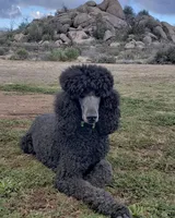 processed/cad1e702-e194-4714-82ae-0d546e8dd21e/facility/91924eb4-1d1d-46ab-b227-dce79b94b7c8