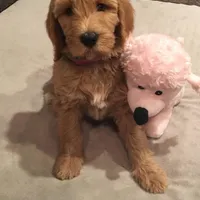 processed/cad1e702-e194-4714-82ae-0d546e8dd21e/facility/9fa0ef18-b81a-40c8-b8e7-3734e4f0a293