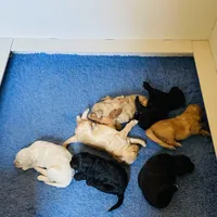 processed/cad1e702-e194-4714-82ae-0d546e8dd21e/facility/cac5aa88-321a-409c-96ca-470a7b372be7