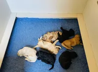 processed/cad1e702-e194-4714-82ae-0d546e8dd21e/facility/cac5aa88-321a-409c-96ca-470a7b372be7