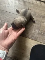 processed/cadb558b-fe2e-4943-b682-c38fba15146c/listing/18426e4f-261c-437f-b70a-42c9f8e39dff/9f09e049-2bb8-43f9-8105-ddb788acbf54