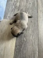 processed/cadb558b-fe2e-4943-b682-c38fba15146c/listing/4334b8bd-d9a8-4863-8e83-19eee75b6479/49393da9-e08f-44fa-807c-3ca4e1778622