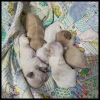 processed/cadc27e9-882b-476a-ac3f-d52dc289de88/facility/09216ff0-cfdf-479c-8016-62723d6b9eb6