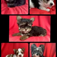 processed/cadc27e9-882b-476a-ac3f-d52dc289de88/facility/615926c9-9289-4983-939f-6891ad8fd0e3