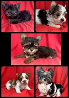 processed/cadc27e9-882b-476a-ac3f-d52dc289de88/facility/615926c9-9289-4983-939f-6891ad8fd0e3