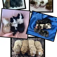 processed/cadc27e9-882b-476a-ac3f-d52dc289de88/facility/61a1f06b-8ce6-42c8-8de4-b76cf4651b7c