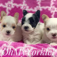 processed/cadc27e9-882b-476a-ac3f-d52dc289de88/facility/68059412-d7f5-49dd-9baa-4d7d2de21ba4