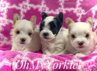 processed/cadc27e9-882b-476a-ac3f-d52dc289de88/facility/68059412-d7f5-49dd-9baa-4d7d2de21ba4