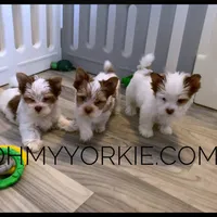 processed/cadc27e9-882b-476a-ac3f-d52dc289de88/facility/d49b2811-227a-4d3f-9d50-5d509609e507