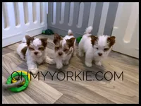 processed/cadc27e9-882b-476a-ac3f-d52dc289de88/facility/d49b2811-227a-4d3f-9d50-5d509609e507