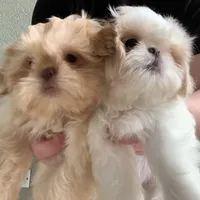 processed/cadc27e9-882b-476a-ac3f-d52dc289de88/facility/d74e23b6-ba23-4d97-b61f-c8f9757c1c77