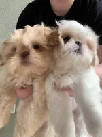 processed/cadc27e9-882b-476a-ac3f-d52dc289de88/facility/d74e23b6-ba23-4d97-b61f-c8f9757c1c77