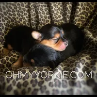 processed/cadc27e9-882b-476a-ac3f-d52dc289de88/facility/ddc8cdaa-2346-4fa6-b861-f98223494233