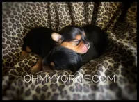 processed/cadc27e9-882b-476a-ac3f-d52dc289de88/facility/ddc8cdaa-2346-4fa6-b861-f98223494233