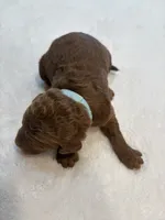 processed/cae6a4fd-b1ae-4be2-817f-3c9783dcf0bd/listing/631e80ed-0c7b-4634-ae72-bb272fe625b8/28691320-9386-4946-8fde-6b76fd271343