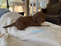 processed/cae6a4fd-b1ae-4be2-817f-3c9783dcf0bd/listing/631e80ed-0c7b-4634-ae72-bb272fe625b8/2bacb895-6882-450c-b90e-26915c3eb6b4