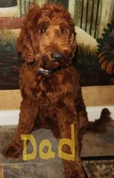 processed/cae6a4fd-b1ae-4be2-817f-3c9783dcf0bd/listing/631e80ed-0c7b-4634-ae72-bb272fe625b8/477cb6ca-9a28-4b00-96ad-751a7adf3ba8