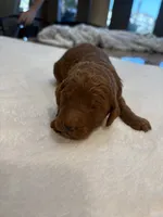 processed/cae6a4fd-b1ae-4be2-817f-3c9783dcf0bd/listing/631e80ed-0c7b-4634-ae72-bb272fe625b8/64f3e04b-ed09-438e-881c-5c5e046cdb46