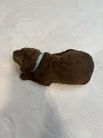 processed/cae6a4fd-b1ae-4be2-817f-3c9783dcf0bd/listing/631e80ed-0c7b-4634-ae72-bb272fe625b8/6c3072c7-3979-4672-a3c8-0eebcccd4025