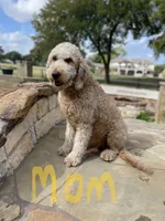 processed/cae6a4fd-b1ae-4be2-817f-3c9783dcf0bd/listing/631e80ed-0c7b-4634-ae72-bb272fe625b8/bcab3d5d-8c03-4141-bafc-044a5d928277