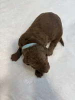 processed/cae6a4fd-b1ae-4be2-817f-3c9783dcf0bd/listing/631e80ed-0c7b-4634-ae72-bb272fe625b8/cfe55118-a693-4bf7-802e-23537ad0cef3