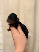 processed/cae83839-b419-4e6c-8121-062b5d211d07/listing/1d10dd70-49b0-4ee6-9071-ccc952e36775/4c4c75a3-252d-40d0-9bf3-671437a30da8