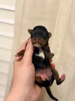 processed/cae83839-b419-4e6c-8121-062b5d211d07/listing/1d10dd70-49b0-4ee6-9071-ccc952e36775/eef222e1-3944-42ea-8702-72892e12474a