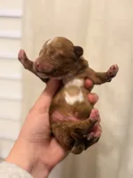 processed/cae83839-b419-4e6c-8121-062b5d211d07/listing/685a47b9-27ba-4b3e-954c-ede1c716caa4/80672207-c5a1-4917-baf4-056e9cb3a85b