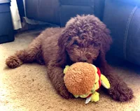 processed/caee1e40-8483-47ac-a17f-c37c9a2e563f/listing/534df043-e9a9-4e49-a41e-26bb2204f9a5/13636561-fbc8-45b0-9f2c-06fefc2fa1df