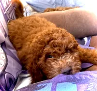 processed/caee1e40-8483-47ac-a17f-c37c9a2e563f/listing/534df043-e9a9-4e49-a41e-26bb2204f9a5/a100145e-e6ad-4a0d-b275-6f78c0e27e1a