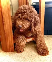 processed/caee1e40-8483-47ac-a17f-c37c9a2e563f/listing/534df043-e9a9-4e49-a41e-26bb2204f9a5/d249a50b-b58f-42bf-9121-f38ca578bbeb