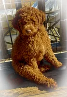 processed/caee1e40-8483-47ac-a17f-c37c9a2e563f/listing/5e0b714f-623c-4701-8483-8154d2e48478/2d2ceb6d-172a-4161-ad57-c2e62e28b838