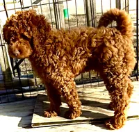 processed/caee1e40-8483-47ac-a17f-c37c9a2e563f/listing/5e0b714f-623c-4701-8483-8154d2e48478/98ab9048-c741-48c1-b4a8-ec68519bdba7