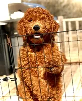 processed/caee1e40-8483-47ac-a17f-c37c9a2e563f/listing/7dd92517-4688-40c4-b98e-ff69a9cd37d4/534f9d8f-bb7b-42d0-9dac-095b176069ab