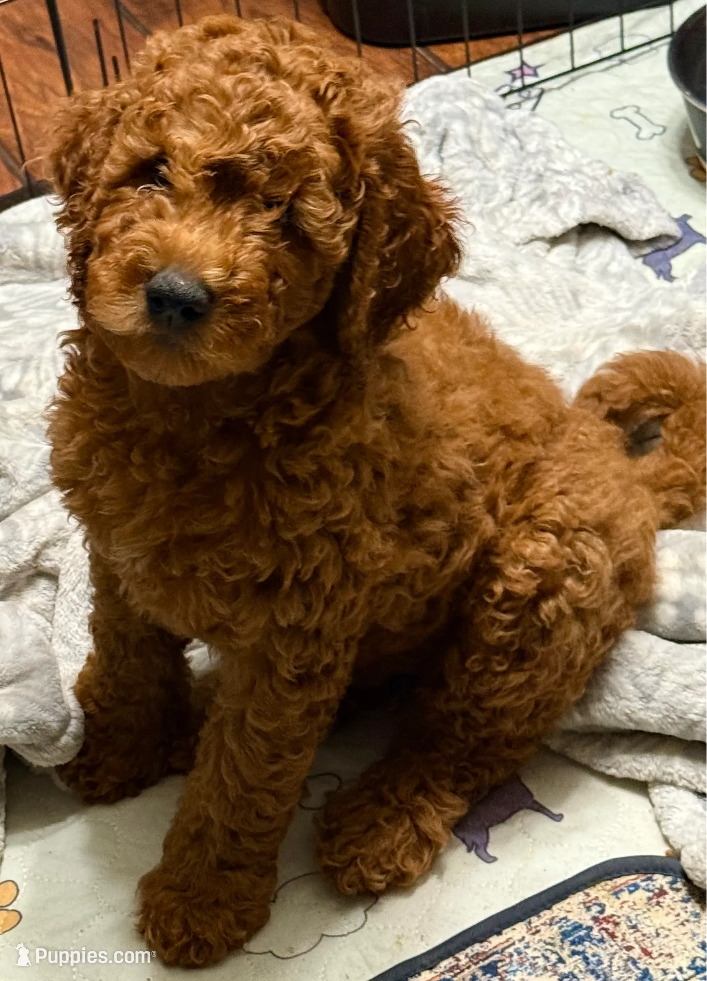 processed/caee1e40-8483-47ac-a17f-c37c9a2e563f/listing/7dd92517-4688-40c4-b98e-ff69a9cd37d4/97c0a25a-21c1-461d-a276-7d3974ff8681